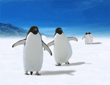 Gif d'un Flip/Animation réalisé en impression lenticulaire au format 40 x 60